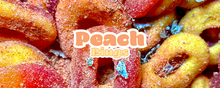 Load image into Gallery viewer, *PRE-SALE* NOMS DA POUCH | SNACK